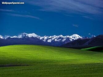 Windows Xpbliss Bliss Xp Microsoft Wallpaper