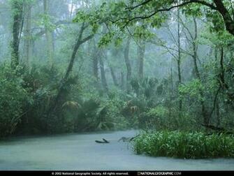 Wilderness Photo Of The Day Picture Photography Wallpaper