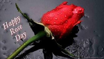 Rose Day Pictures Image Graphics For Whatsapp