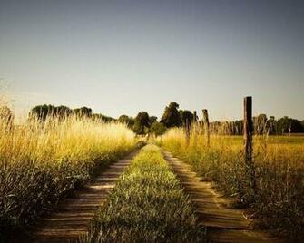 Country Music Wallpaper