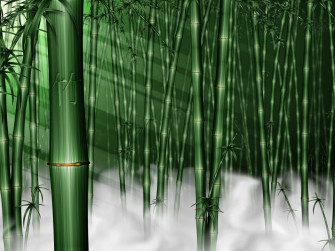 Bamboo Wallpaper