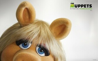 Buscados Pig Miss Piggy Muppets Imagens De
