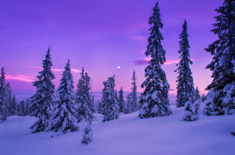 Winter Snowflake Wallpaper