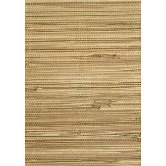 Shop Allen Roth Brown Grasscloth Unpasted Textured Wallpaper At