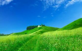 Middle Of Nature Desktop Pc And Mac Wallpaper