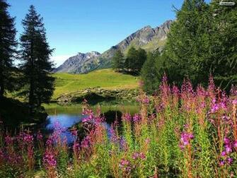 Spring Wallpaper