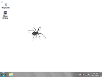 Spider Desktop Wallpaper Interactive