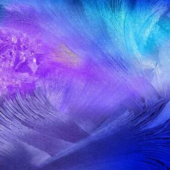 Note Ecco I Wallpaper In QHD Smartphone Sfondi