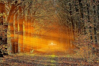 Beautiful Fall Wallpaper Autumn