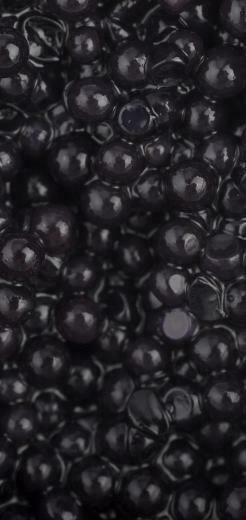 Black Caviar Granular Wallpaper