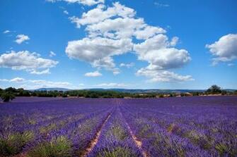 France Provence Alpes Cote D Azur Bouches Du Rhone Aix En
