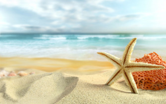 Summer Wallpaper