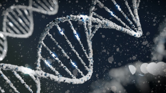 Genetic Engineering A Cure Or Curse