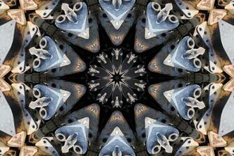 Junkyard Kaleidoscope Wallpaper