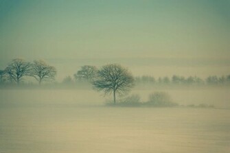 Ubuntu Winning Wallpaper Revealed Omg