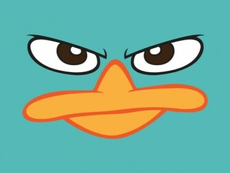 Perry The Platypus El Ornitorrinco Wallpaper