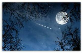 Shooting Star HD Wallpaper For Standard Fullscreen Uxga Xga