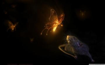 Firefly Ultra HD Desktop Background Wallpaper For 4k UHD Tv