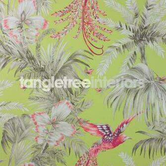 Little Samana Wallpaper By Matthew Williamson Bird Of Paradise