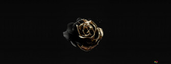 Image Of Rose Gold Color On Black 4k Wallpaper