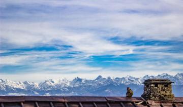 Dalhousie Pictures Image