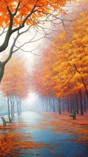 Autumn Road iPhone 5s Wallpaper iPad