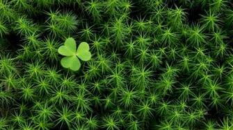 Irish Wallpaper Photography Gallery Pc