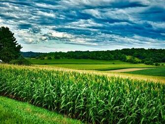 Syngenta Announces Global Introduction Of Novel Seed Treatment