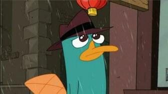 Phineas And Ferb Image Perry HD Wallpaper Background