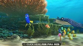 Reveal Finding Dory Movie 4k Wallpaper