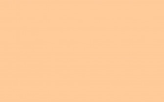 Digitally Painted Pastel Orange Aesthetic Wallpaper