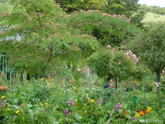 Fond D Cran Giverny France Wallpaper Chercher L Intrus Photos