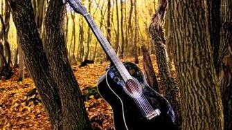 Cool Country Guitar Wallpaper In The Forest Pictures