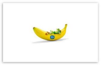 Chiquita With Frog Funny HD Wallpaper For Standard Fullscreen