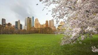 Spring In The City Desktop Pc And Mac Wallpaper