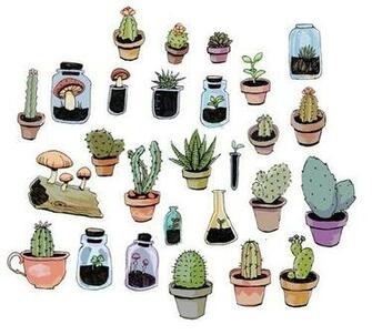 Cactus Wallpaper