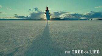 The Tree Of Life HD Wallpaper Movie