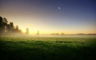 Fog Aesthetic Landscape Desktop Wallpaper