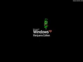 Laminating Window Weed Farmer The Of Live Wallpaper Desktop