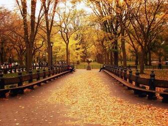 Autumn Central Park New York City By Vivienne Gucwa