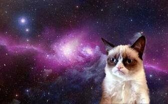 Cat In Space Wallpaper Hq