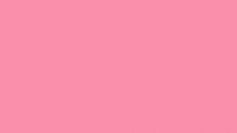 Flamingo Pink