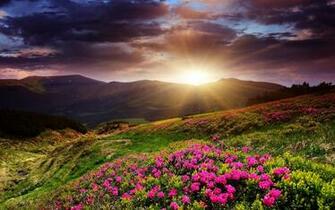 Awesome Sunrise Wallpaper HD Jpg