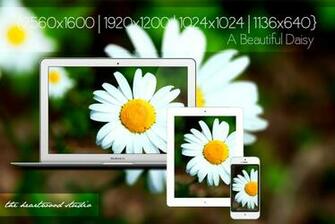 Wallpaper Photo National Html
