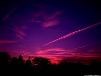 Purple Red Wallpaper
