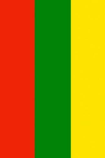 Lithuania Flag iPhone Wallpaper HD