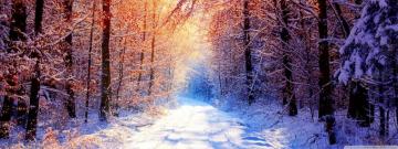 Winter Widescreen Wallpaper Wide Is Cool Cover