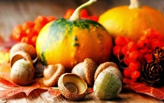 Wallpaper Click Here To Thanksgiving Screensaver