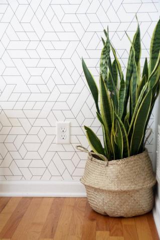 Dining Room Refresh Modern Chemistry At Home Wallpaper