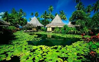 Nature Wallpaper Original Paradise Island